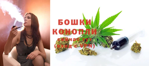 крисы Михайловск