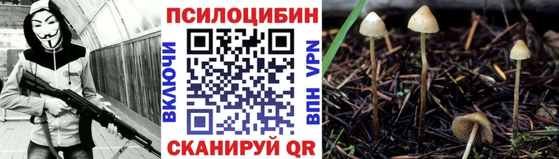 Псилоцибиновые грибы мицелий  Иркутск 